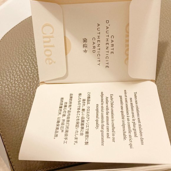 NEW Chloe Drew Small Shoulder Bag - Picture 8 of 15